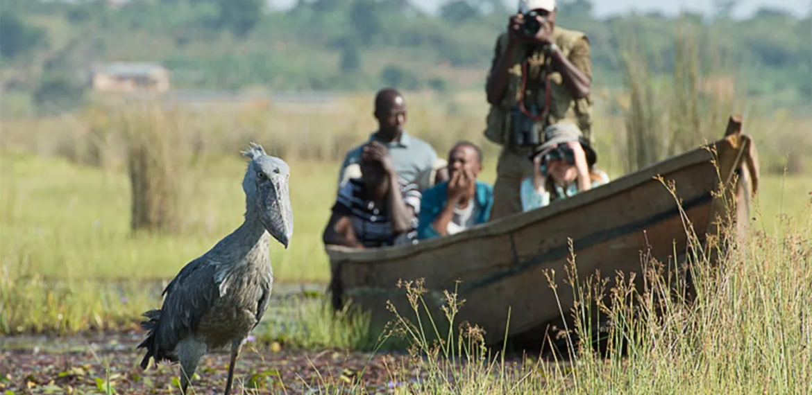 Pearl of Africa Discovery Tour – 2025 Edition