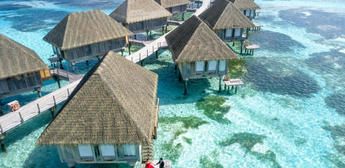 Maldives Paradise Escape — From Uganda to Tropical Bliss